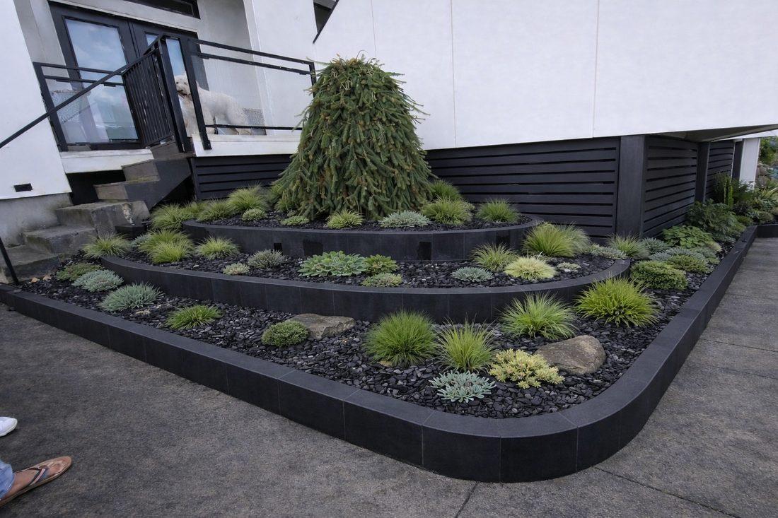 Modern formal planting bed with dwarf conifers and grasses