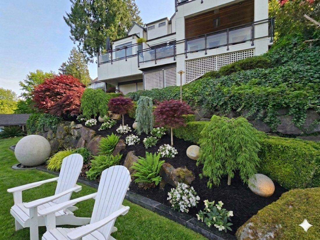 Japanese maple and rockery garden with seating
